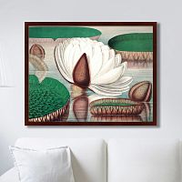 картина: opening of a gigantic water lily, 1870г. в Ростове-на-Дону