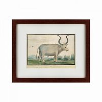 картина: cape ox, 1778 в Ростове-на-Дону