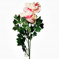 пион розовый 62 см (12) в Ростове-на-Дону