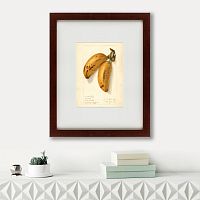 картина: watercolor collection, drawing №78, 1906 в Ростове-на-Дону