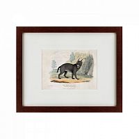 картина: a caracal or lynx, 1830 в Ростове-на-Дону