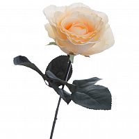 роза кремовая 48 см (36) в Ростове-на-Дону