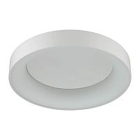 потолочный светодиодный светильник odeon light sole 4062/50cl в Ростове-на-Дону