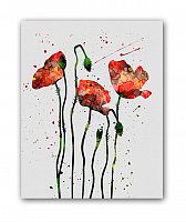 постер маки а3 в Ростове-на-Дону