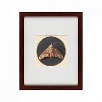 картина: owlet moth, 1700 в Ростове-на-Дону